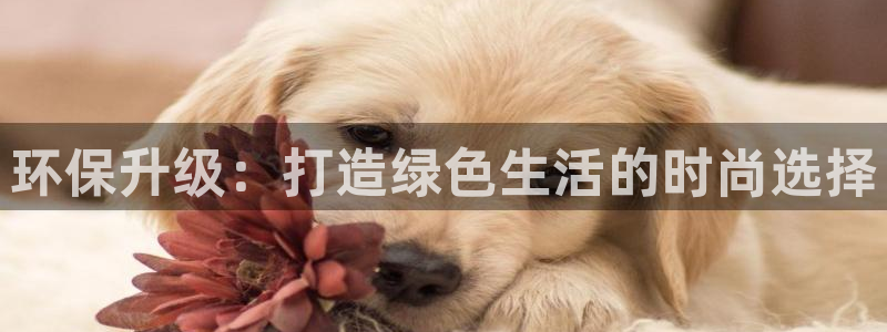 龙八国际官网
