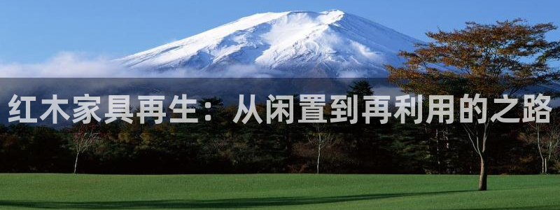 龙八国际输死人