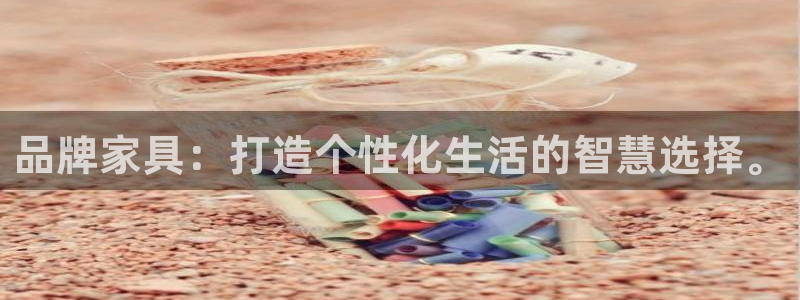 龙八国际是什么软件
