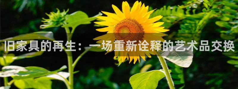 天津龙八国际