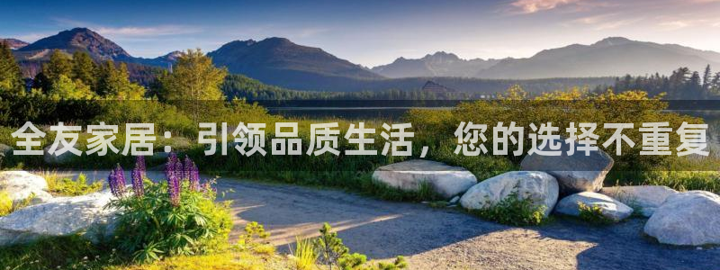 龙八国际菲律宾官网