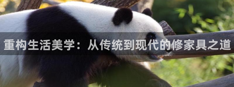 龙八国际报警