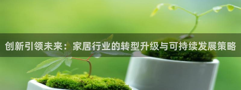龙八国际long