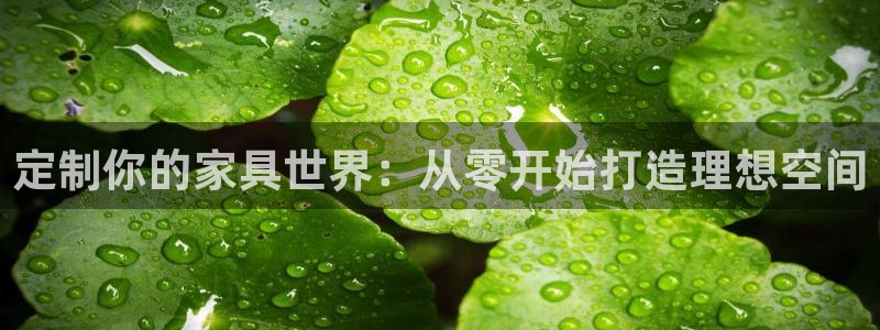 手机版龙八国际官网