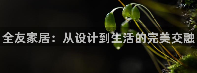 龙八国际娱乐平台网站