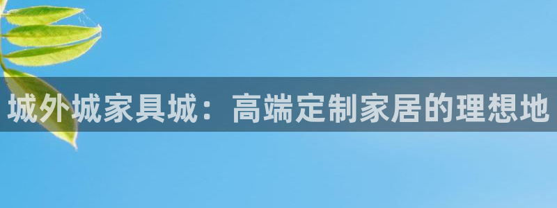 龙八国际APP官方版