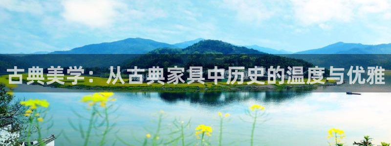 龙八国际老虎机