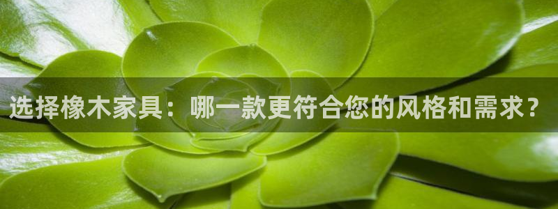 菲律宾的龙八国际