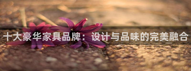 龙八国际娱乐城