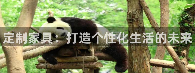 龙八国际娱乐手机版