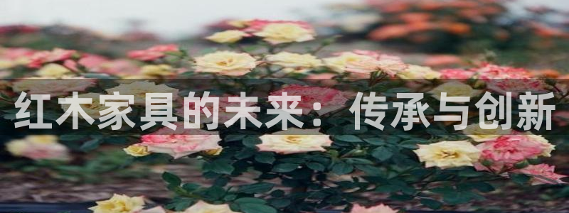 龙八国际app