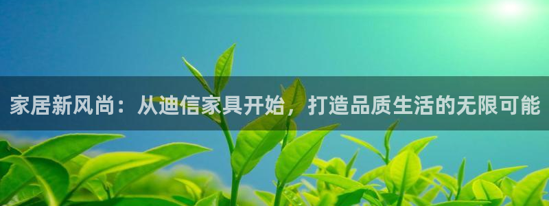 龙八国际登