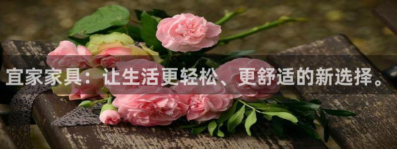 龙八国际娱乐平台网站