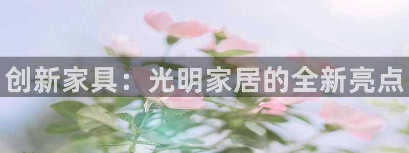 龙八国际头号玩家