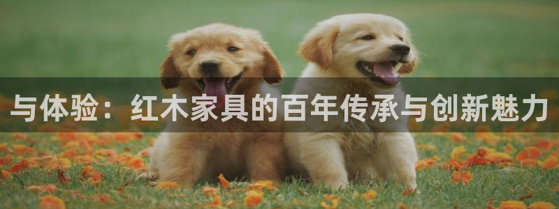 龙八国际音乐