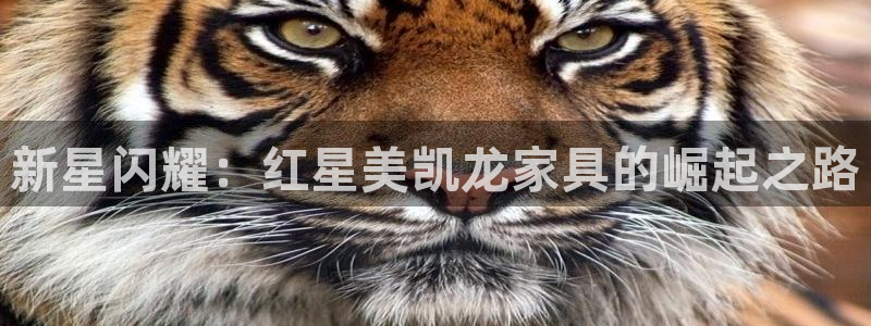 菲律宾龙八国际