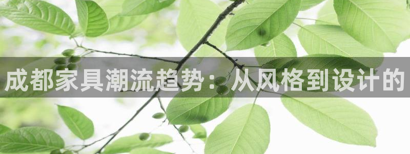 龙八国际下载全部收藏pity