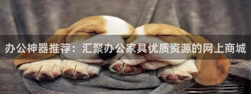 龙八国际手机版下载安装