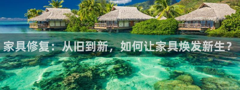 下载龙八国际网站