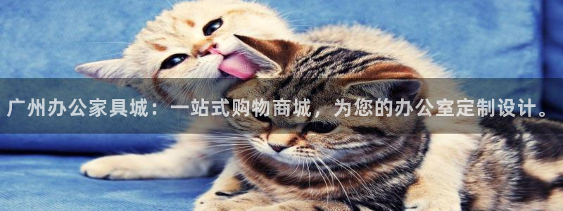 打开龙八国际