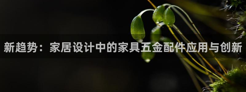 龙八国际游戏视频