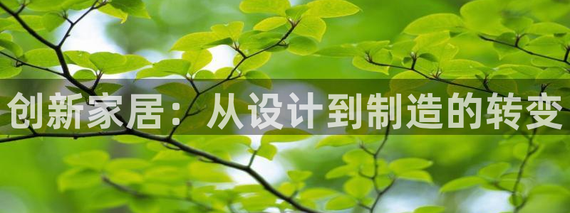 龙八国际害死多少人