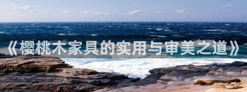 龙八国际是什么软件