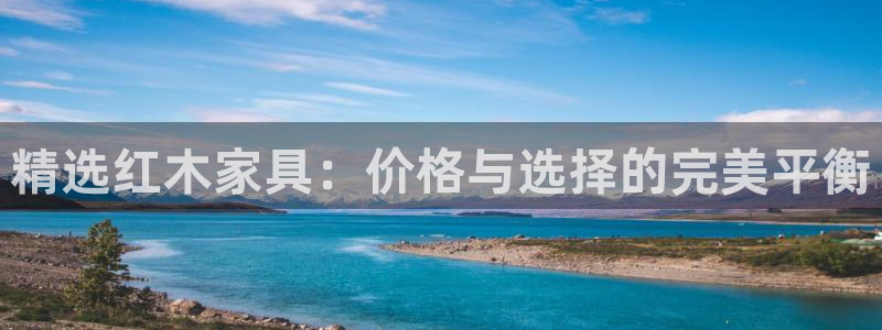 菲律宾的龙八国际输钱