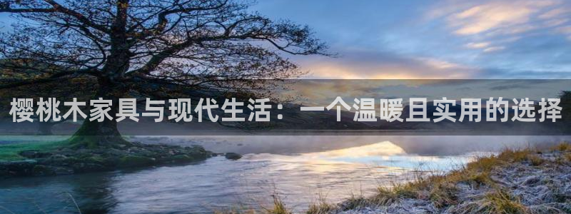 龙八国际网页