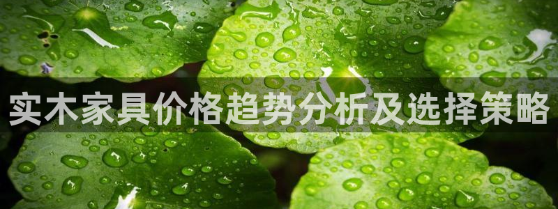 龙八国际娱乐 pt