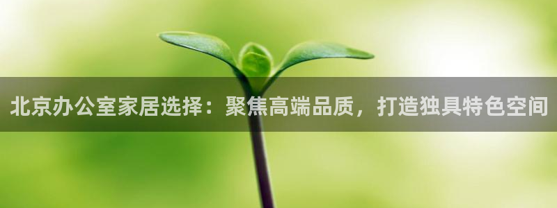 龙八国际app客户端下载手机版