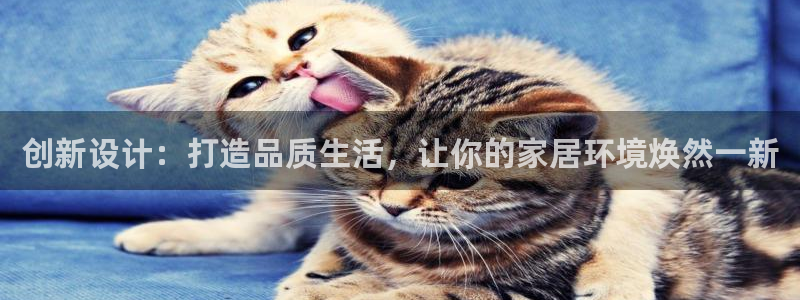 龙八国际app怎么下载