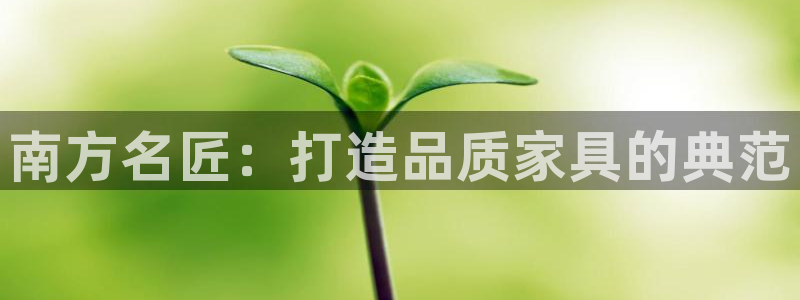 龙八国际新版本