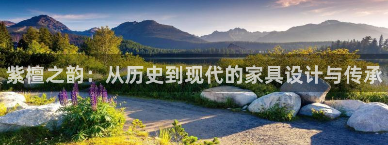 龙八国际黑钱