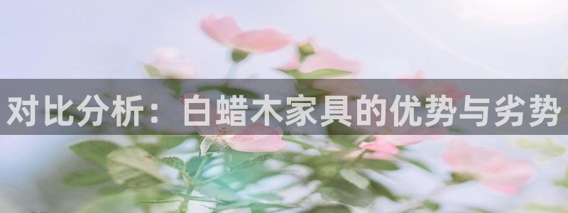 龙八国际集团