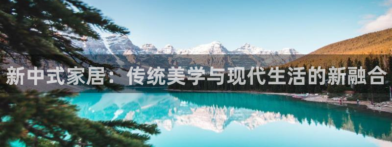 龙八国际可靠