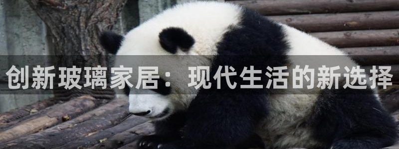 龙八国际官网产品介绍