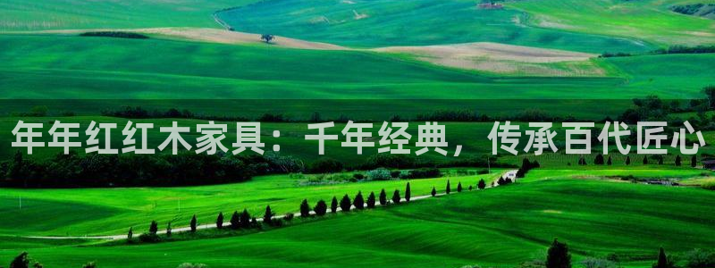 龙八国际官方