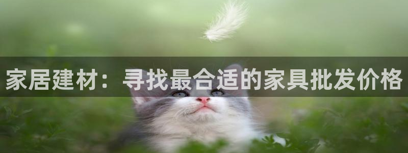 菲律宾的龙八国际输钱