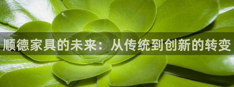 龙八国际官网app下载