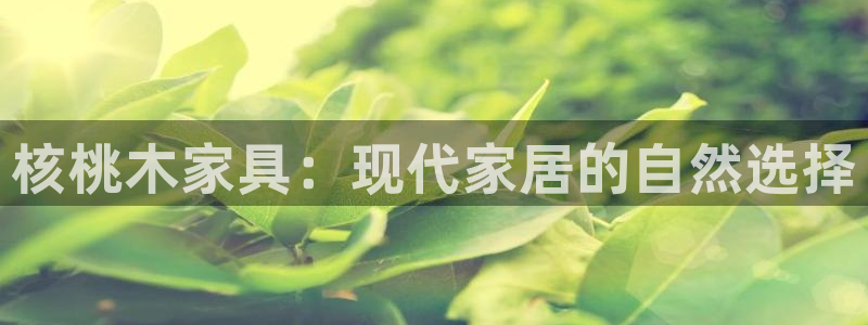 龙八国际管网