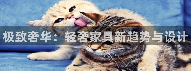 龙八国际最新版本下载：极致奢华：轻奢家具新趋势与设计