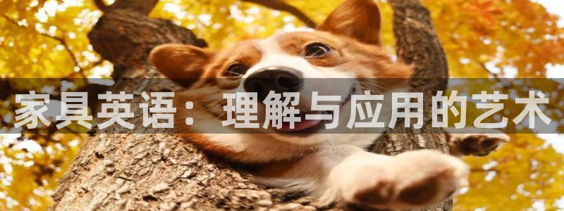 龙八国际官网安卓