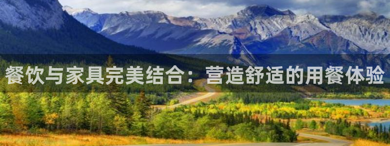 龙八国际苹果下载：餐饮与家具完美结合：营造舒适的用餐体验