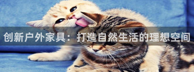 龙八国际免费下载