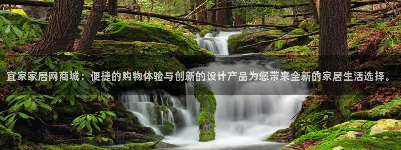 龙八国际app下载安装