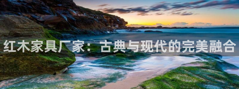 龙八国际网站多少