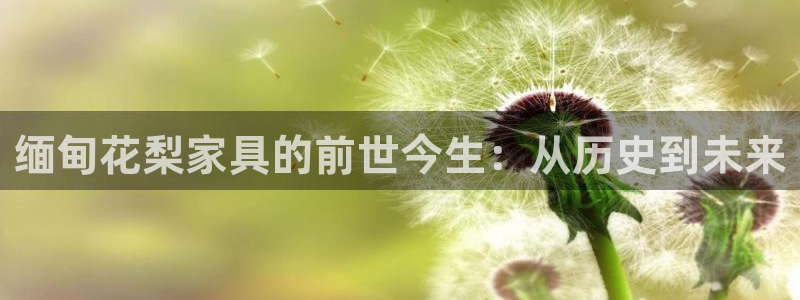 龙八国际老虎机