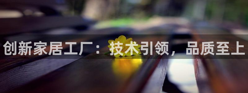 龙八国际可以京东充值吗