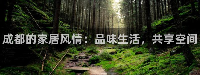 龙八国际版游戏